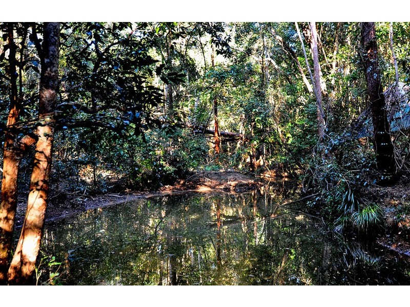 45 Douglas Track, Kuranda QLD 4881