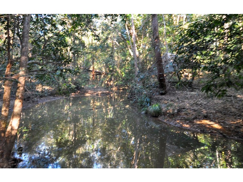 45 Douglas Track, Kuranda QLD 4881