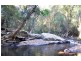 80 Harper Road, Kuranda QLD 4881