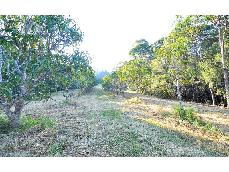 80 Harper Road, Kuranda QLD 4881