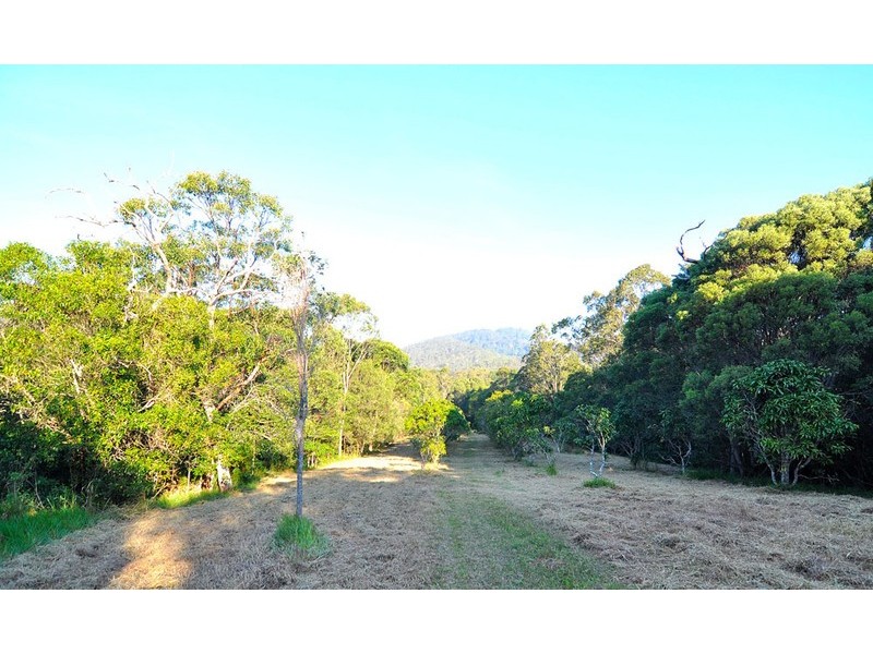80 Harper Road, Kuranda QLD 4881