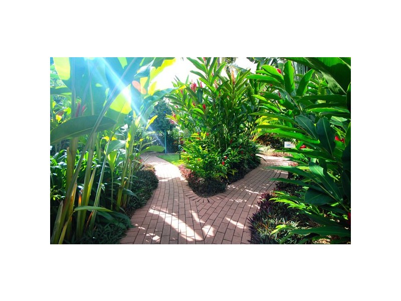 8/129-135 Oleander Street, Holloways Beach QLD 4878