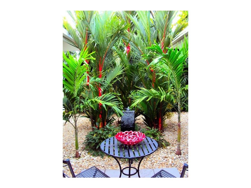 10 St. Crispin Street, Cairns QLD 4870