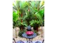 10 St. Crispin Street, Clifton Beach QLD 4879