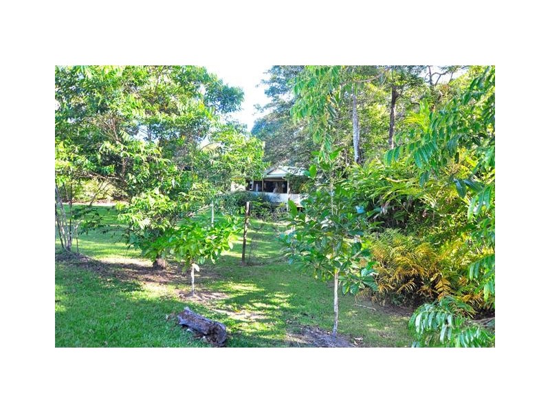 15 Shiva Close, Kuranda QLD 4881