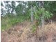 38 Savannah Street, Palm Cove QLD 4879