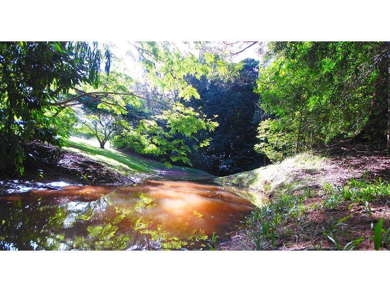 135 Stoney Creek Road, Kuranda QLD 4881