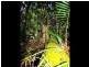 Lot 2, 269 Myola-Oakforest Road, Kuranda QLD 4881