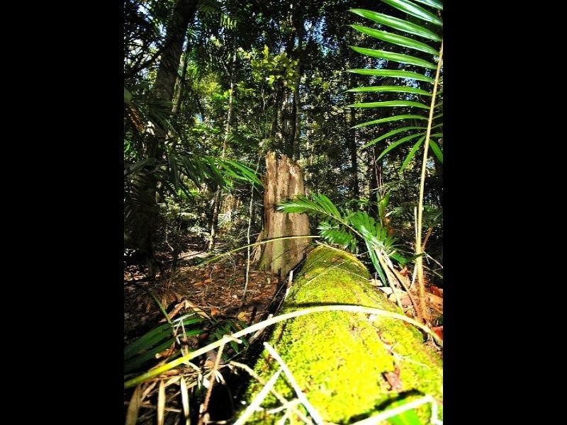 Lot 2, 269 Myola-Oakforest Road, Kuranda QLD 4881