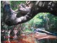 Lot 2, 269 Myola-Oakforest Road, Kuranda QLD 4881