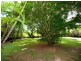 6 Kullaroo Close, Kuranda QLD 4881