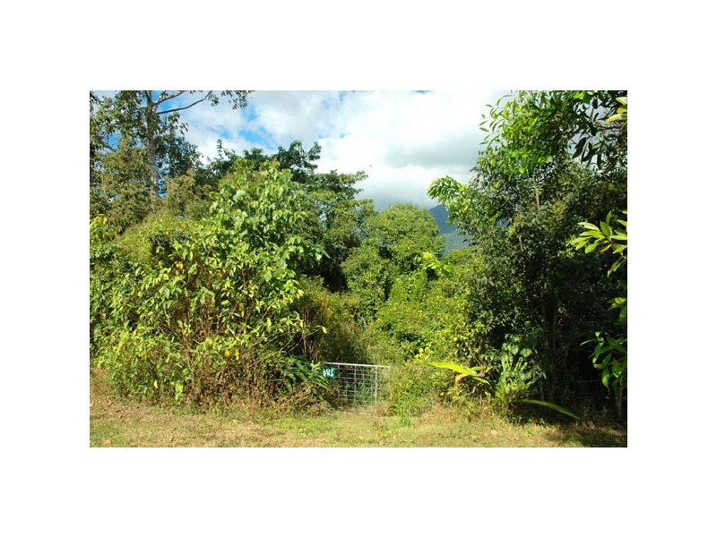 Lot 254 Claim Close, Goldsborough QLD 4865