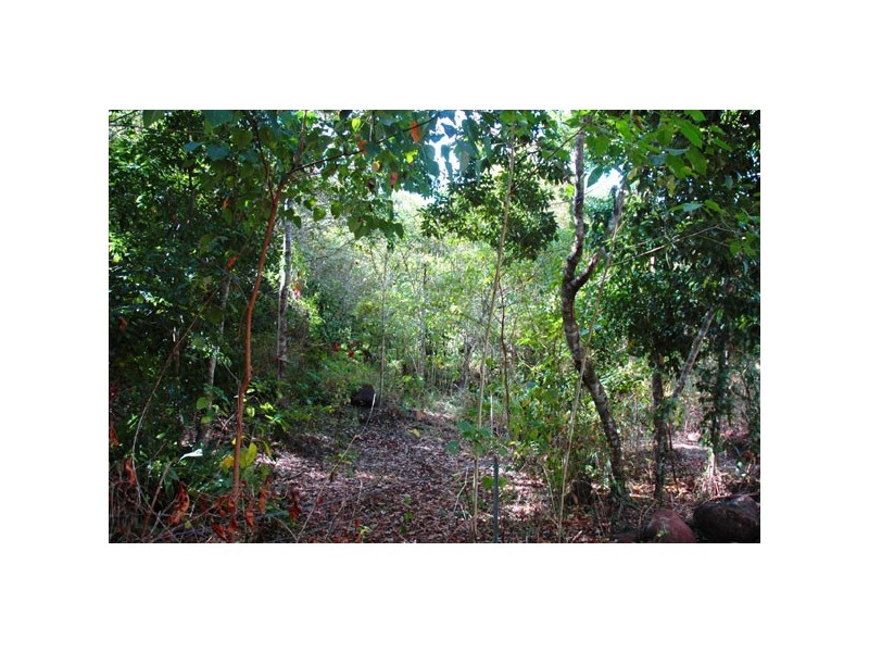 Lot 254 Claim Close, Goldsborough QLD 4865