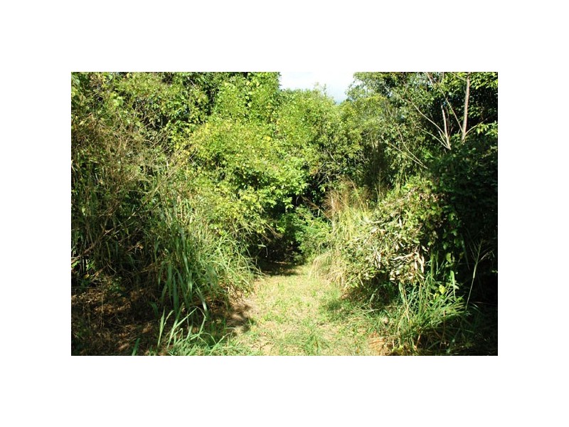 Lot 254 Claim Close, Goldsborough QLD 4865