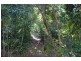 Lot 254 Claim Close, Goldsborough QLD 4865