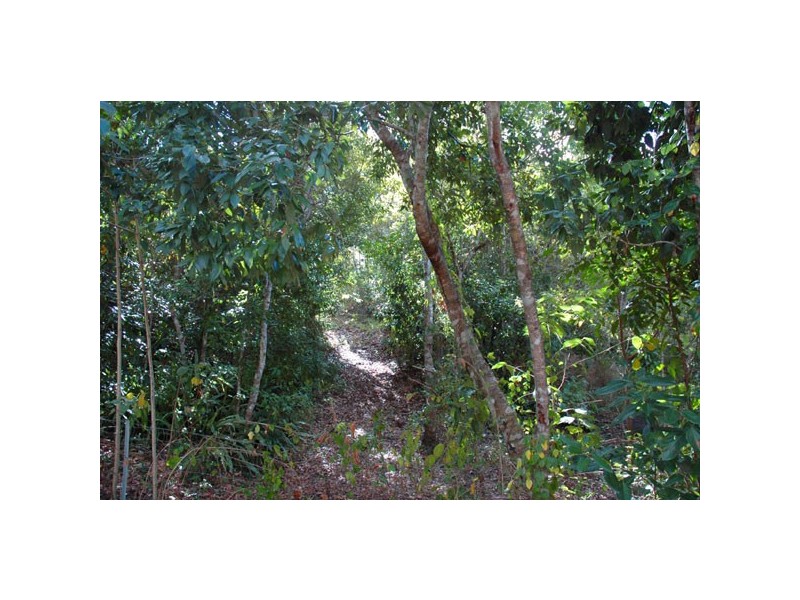 Lot 254 Claim Close, Goldsborough QLD 4865