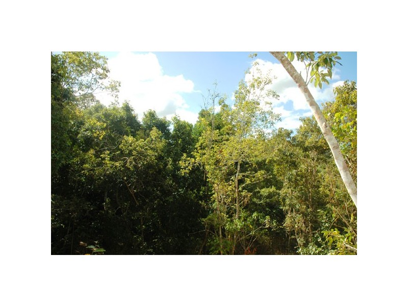 Lot 254 Claim Close, Goldsborough QLD 4865