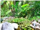 19 Kuranda Crescent, Kuranda QLD 4881