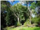 7 Hilltop Close, Kuranda QLD 4881