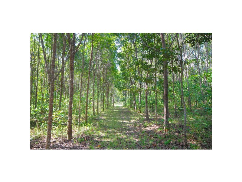 Kuranda QLD 4881