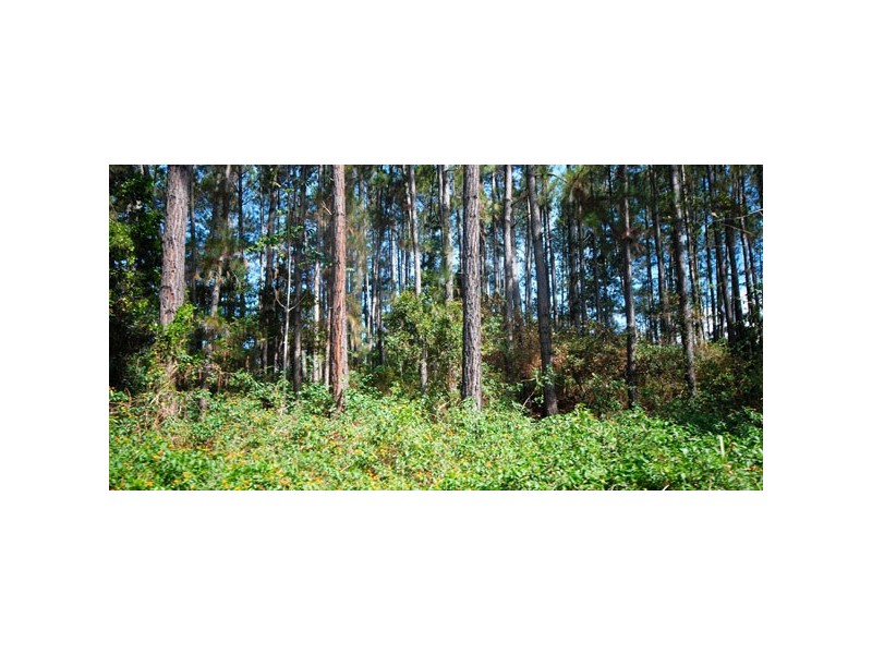Kuranda QLD 4881