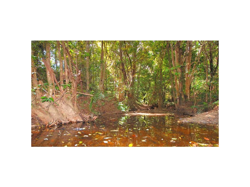 Kuranda QLD 4881