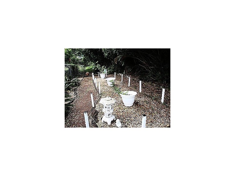 Banora Point NSW 2486