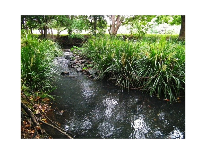 358 Cobaki Road, Cobaki NSW 2486