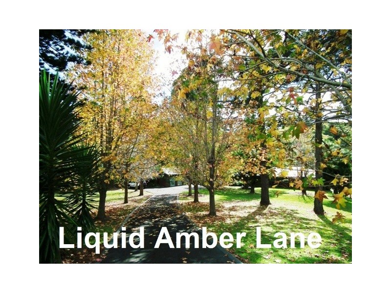 358 Cobaki Road, Cobaki NSW 2486