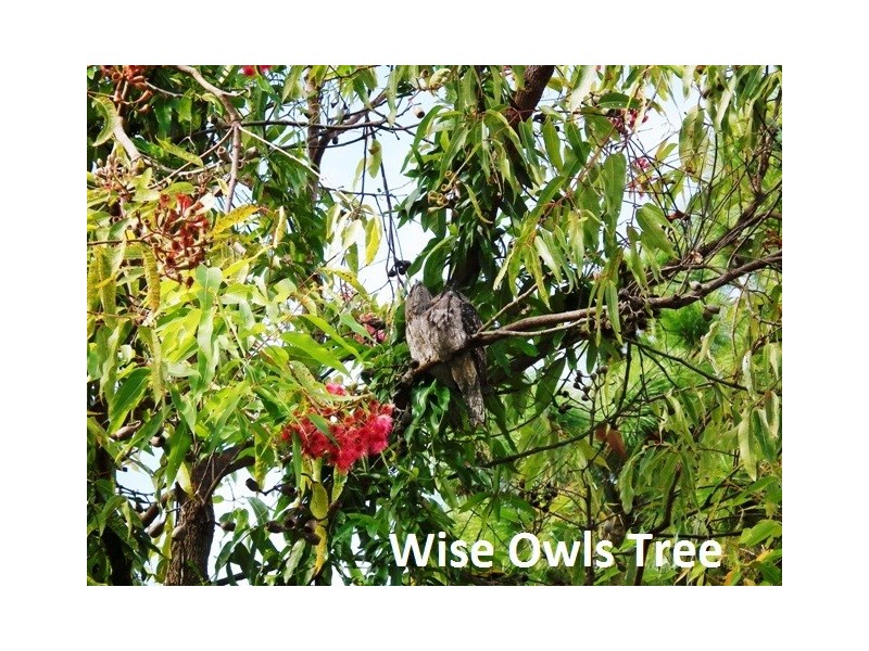 358 Cobaki Road, Cobaki NSW 2486