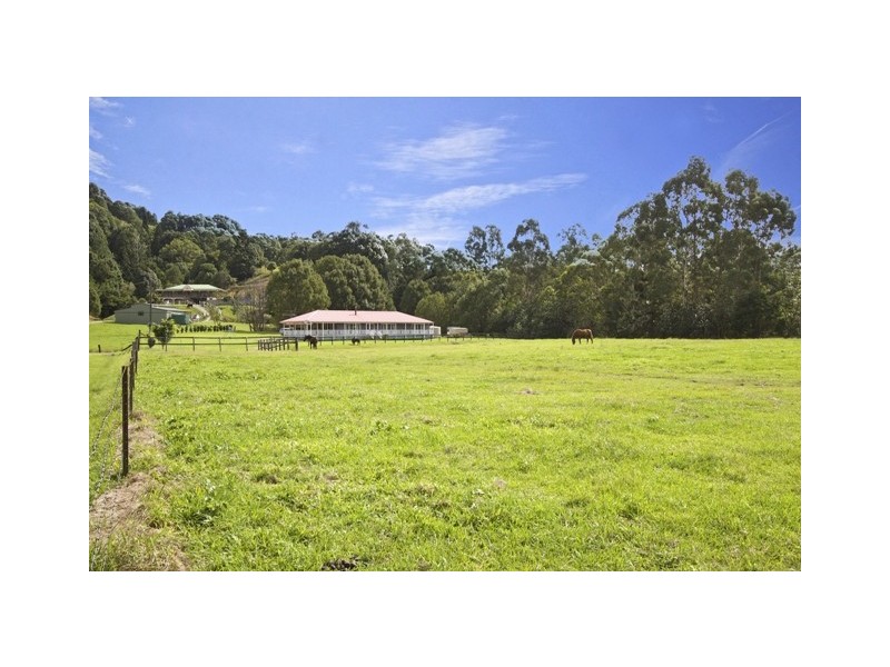 14 Pinetree Place, Piggabeen NSW 2486