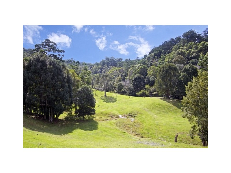 1192 Numinbah Road, Chillingham NSW 2484