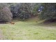 1192 Numinbah Road, Chillingham NSW 2484