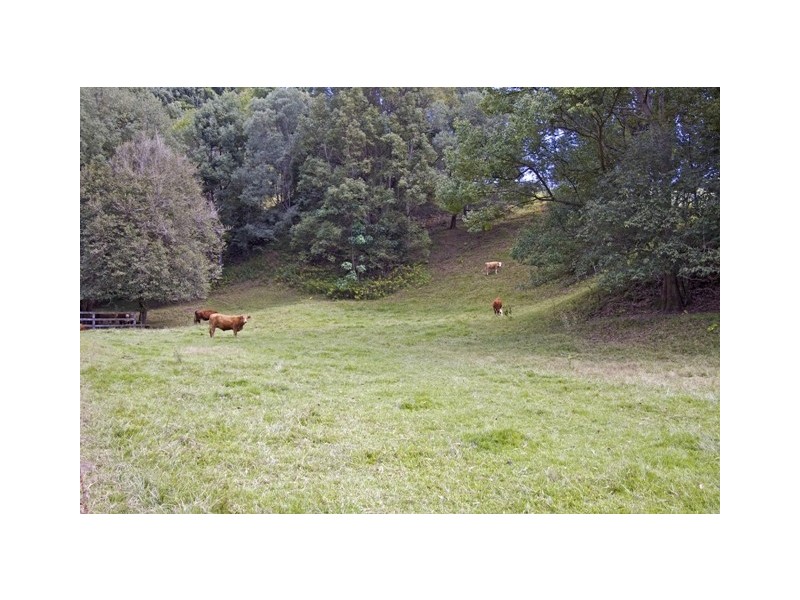 1192 Numinbah Road, Chillingham NSW 2484