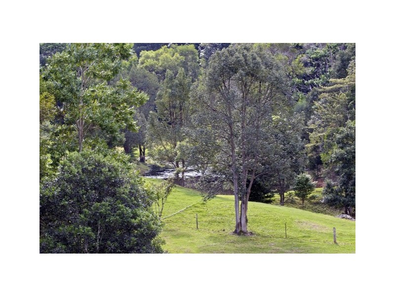 1192 Numinbah Road, Murwillumbah NSW 2484