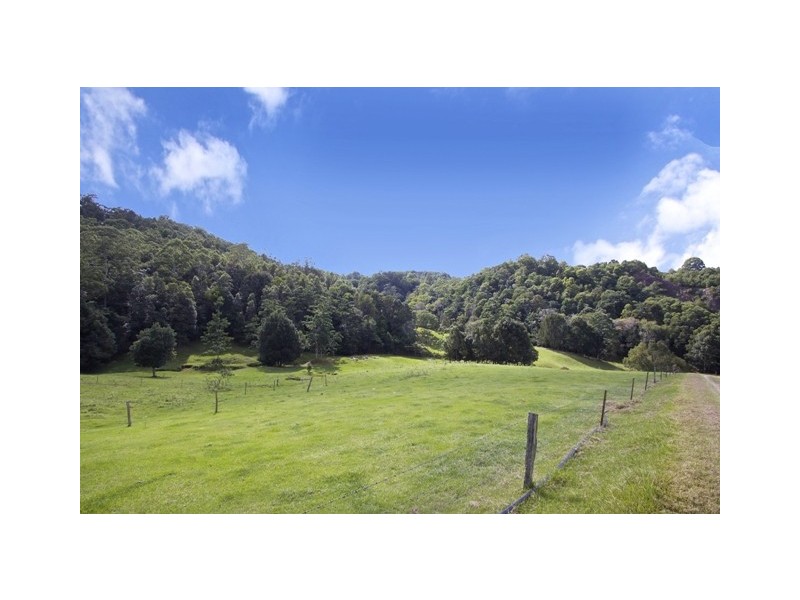 1192 Numinbah Road, Murwillumbah NSW 2484