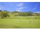 14 Pinetree Place, Piggabeen NSW 2486