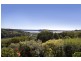 Terranora NSW 2486