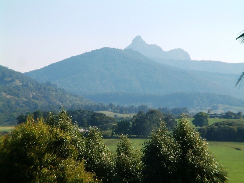 10 Tulipwood Court, Murwillumbah NSW 2484