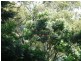 Tweed Heads West NSW 2485
