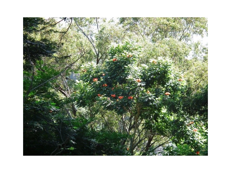 Tweed Heads West NSW 2485