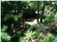Tweed Heads West NSW 2485