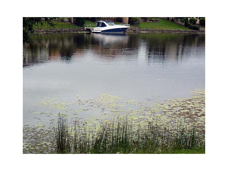 Clear Island Waters QLD 4226