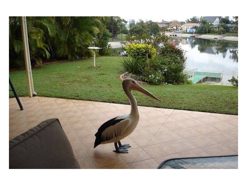 1 Huon Street, Broadbeach Waters QLD 4218