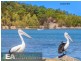 213 Northcliffe Drive, Berkeley NSW 2506