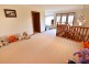 20 Phillip Crescent, Barrack Heights NSW 2528