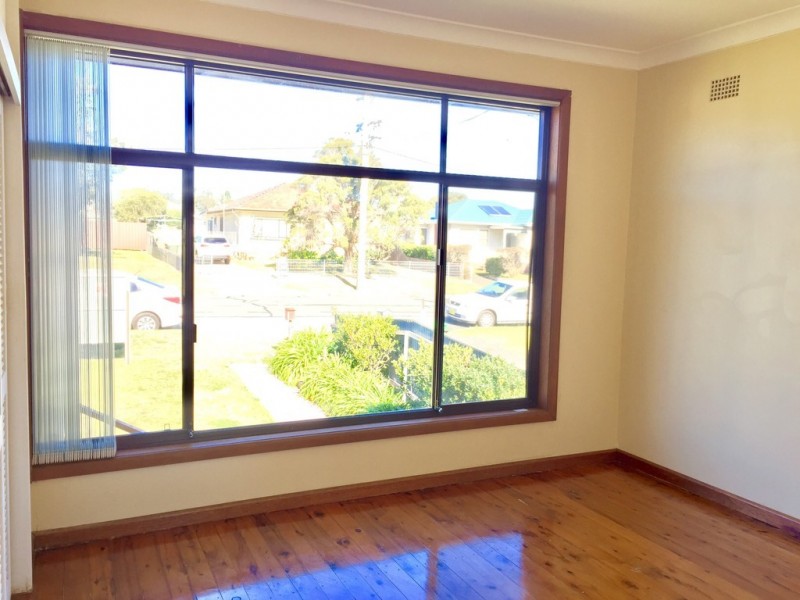 178 Pur Pur Avenue, Lake Illawarra NSW 2528