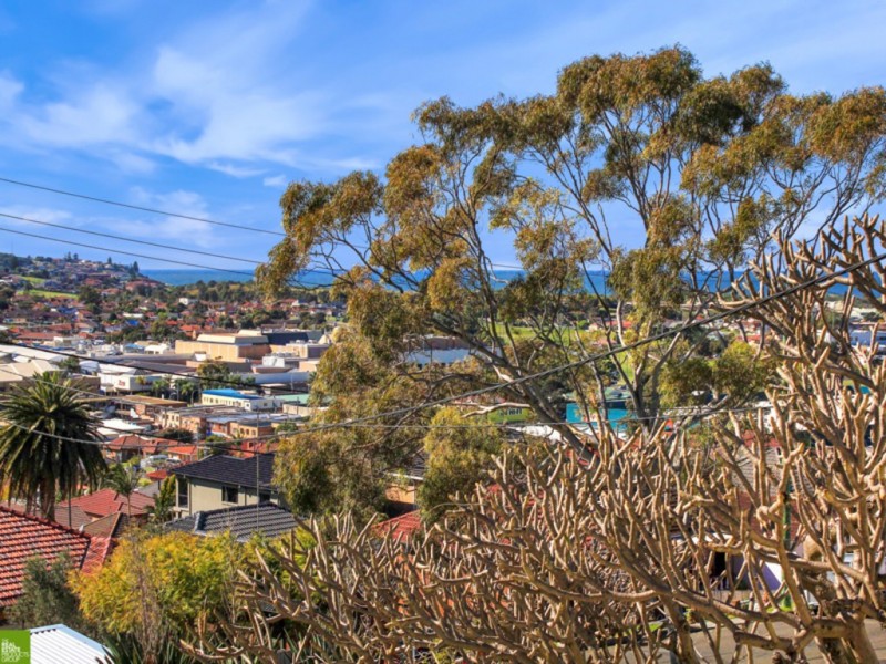 14 Second Avenue North, Warrawong NSW 2502