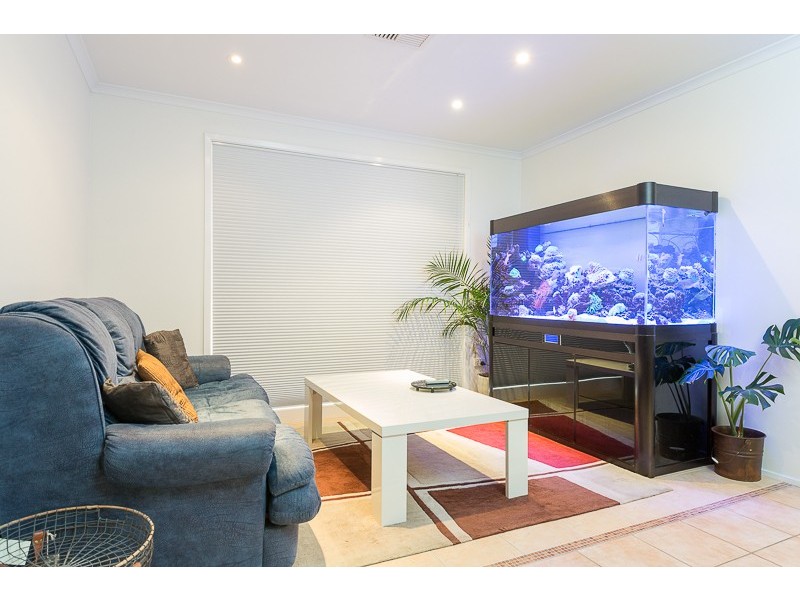 19 Baronda Close, Flinders NSW 2529