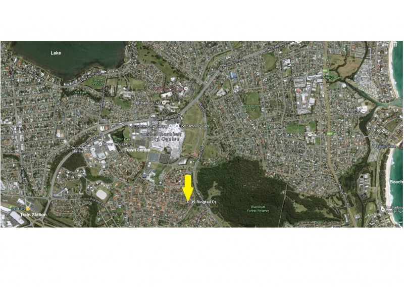 39 Ringtail Circuit, Blackbutt NSW 2529